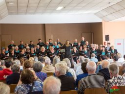 Concert-2026-11